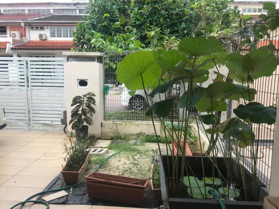 Terrace House Near Stulang Laut Ciq Midvalley Ksl For 7Pax Τζόχορ Μπάχρου Εξωτερικό φωτογραφία